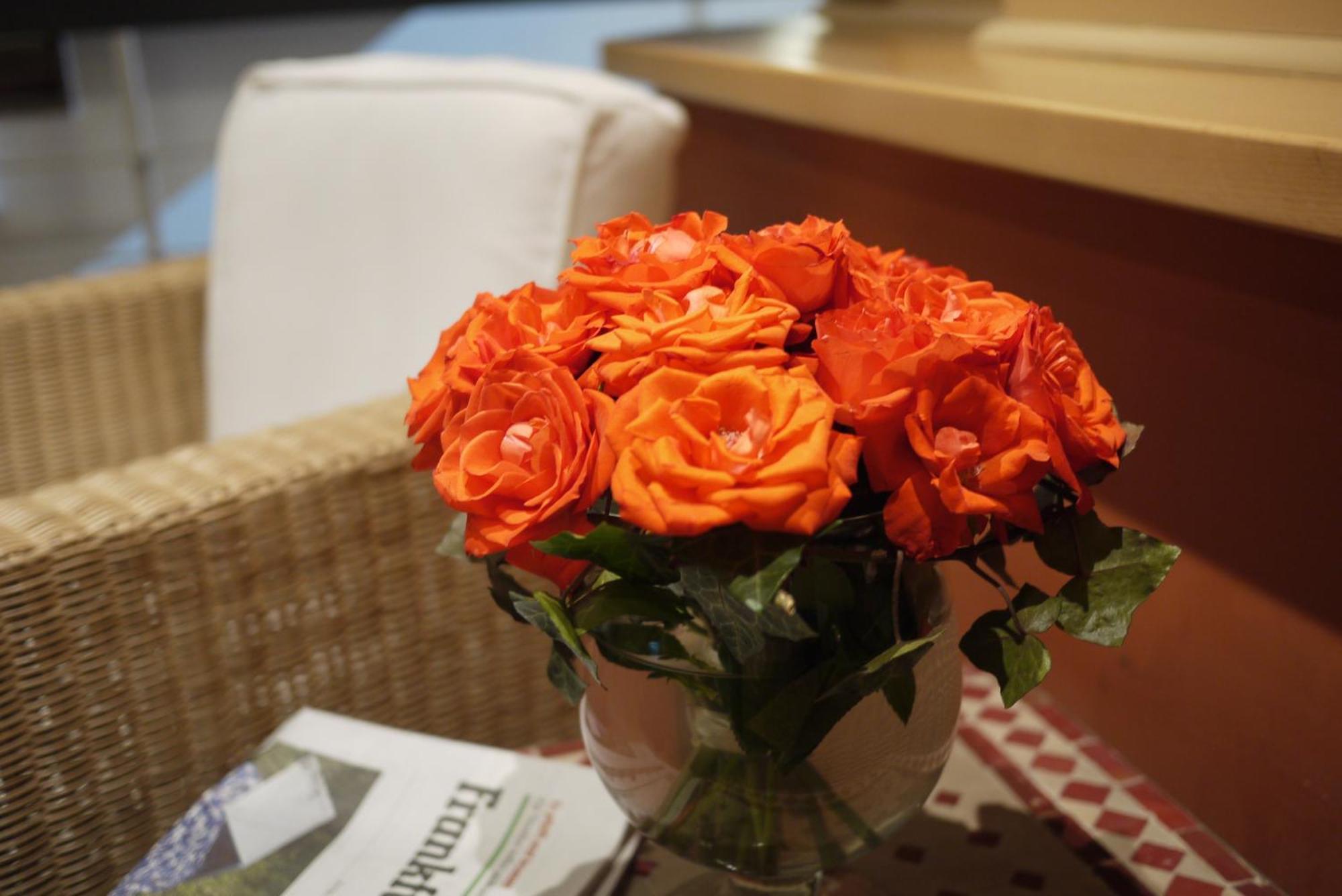 Rennschuh Hotel Gottingen